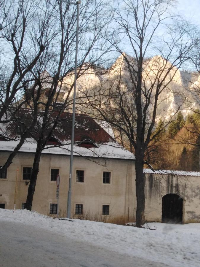 Chata Holica Pieniny Lesnica Exterior photo