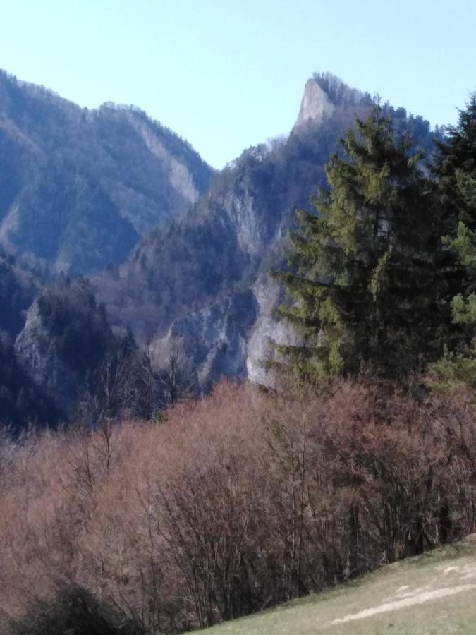 Chata Holica Pieniny Lesnica Exterior photo