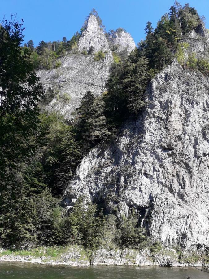 Chata Holica Pieniny Lesnica Exterior photo