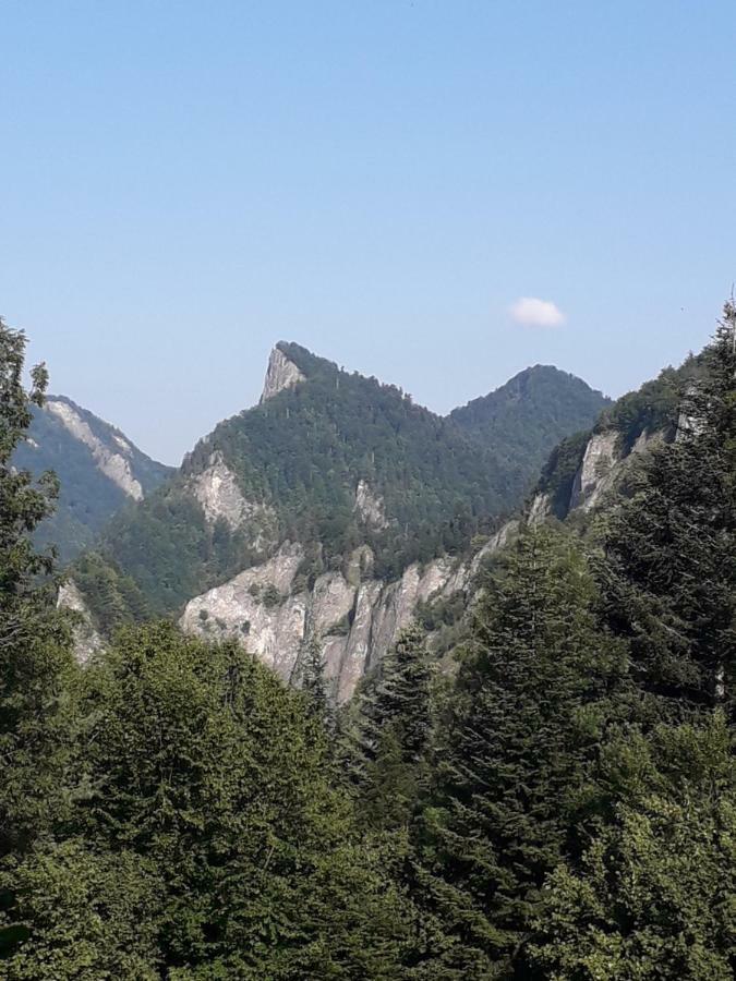 Chata Holica Pieniny Lesnica Exterior photo