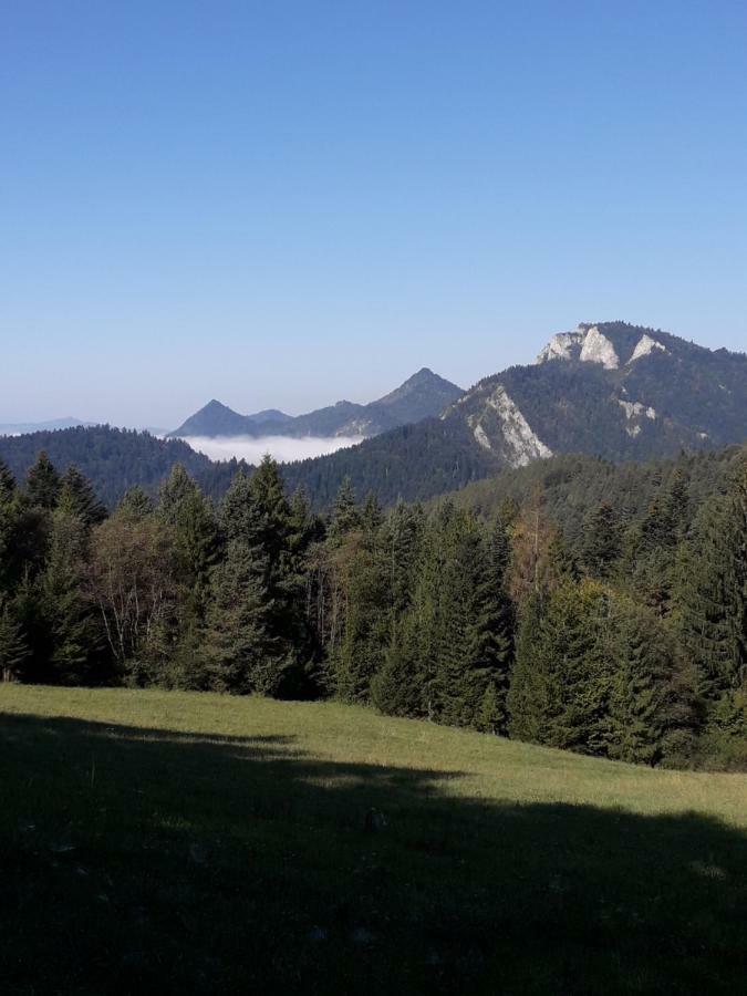 Chata Holica Pieniny Lesnica Exterior photo