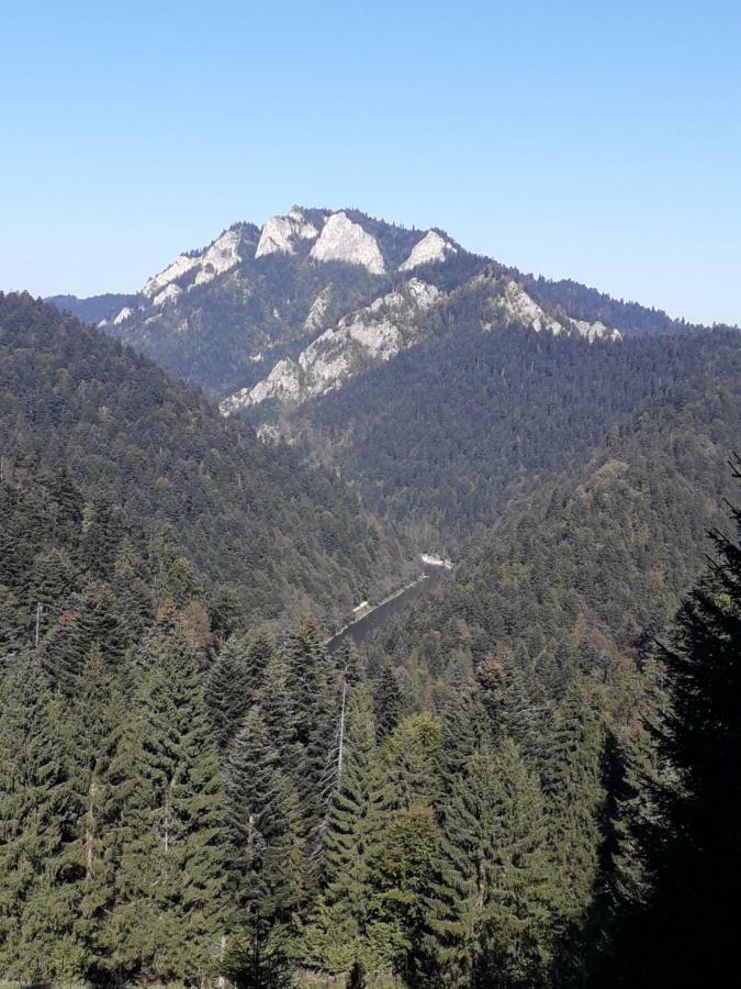 Chata Holica Pieniny Lesnica Exterior photo
