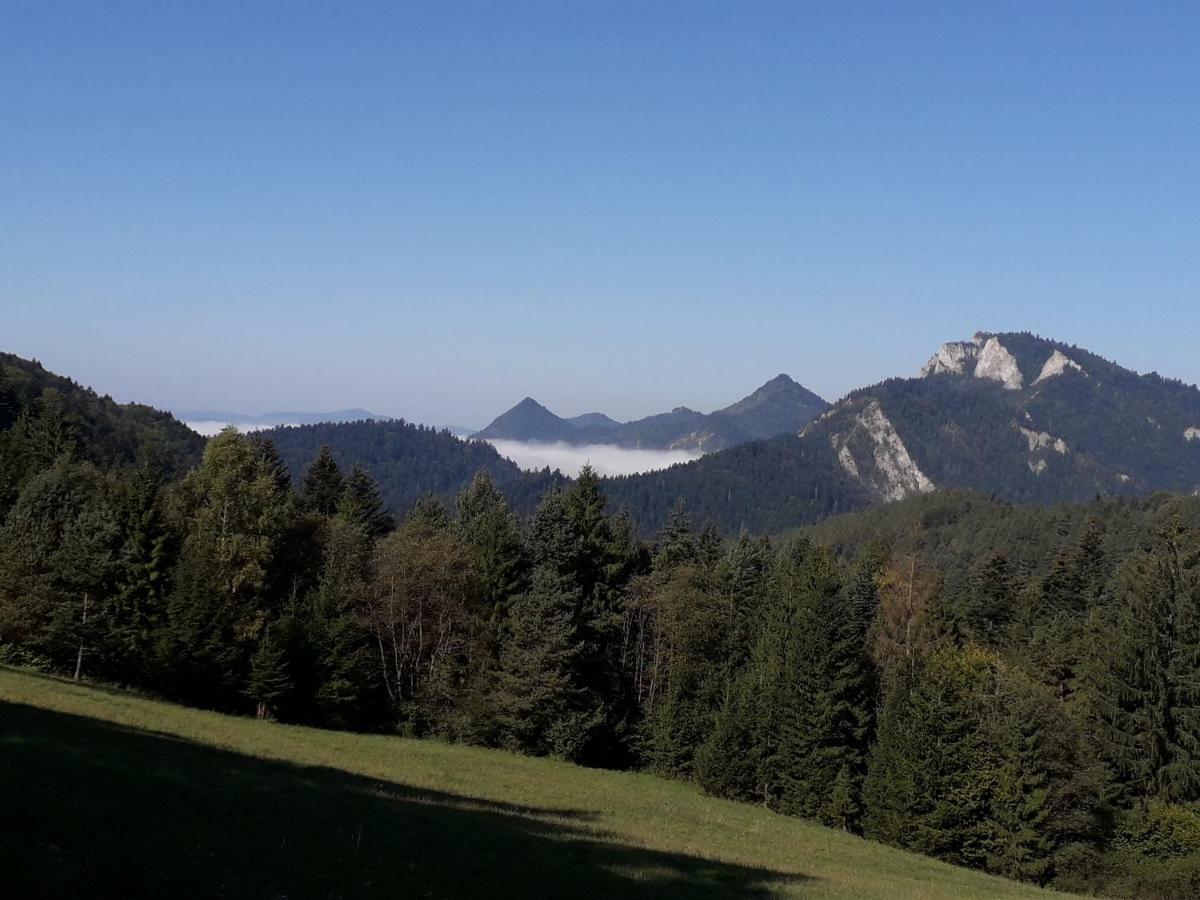 Chata Holica Pieniny Lesnica Exterior photo