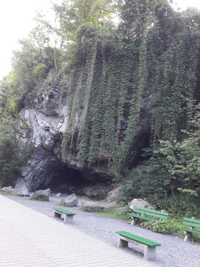 Chata Holica Pieniny Lesnica Exterior photo