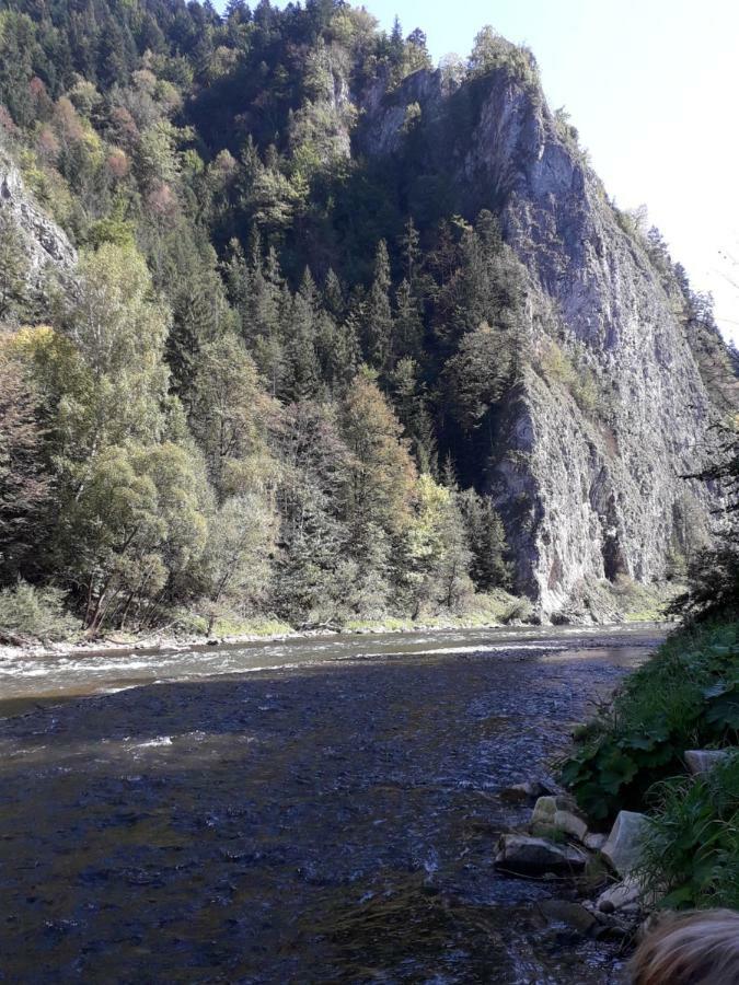 Chata Holica Pieniny Lesnica Exterior photo